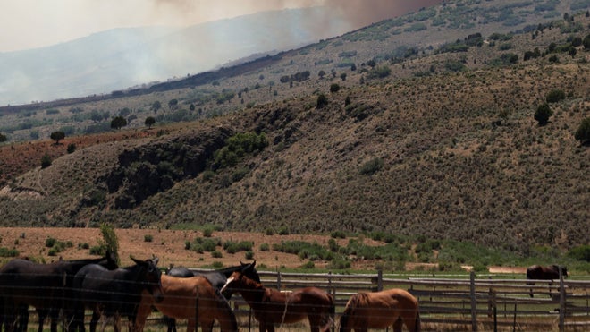 Western Wildfires_Magu.jpg